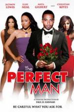 Watch The Perfect Man Watch123movies