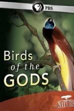Watch Birds Of The Gods Watch123movies