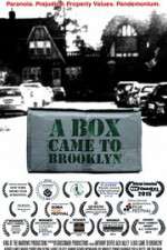 Watch A Box Came to Brooklyn Watch123movies