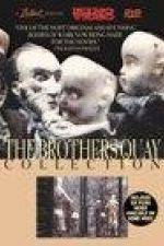 Watch The Comb Watch123movies