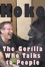 Watch Koko: The Gorilla Who Talks to People Watch123movies