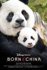Watch Born in China Watch123movies