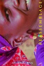Watch Reassemblage: From the Firelight to the Screen Watch123movies
