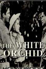 Watch The White Orchid Watch123movies