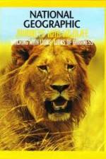 Watch National Geographic:  Walking with Lions Watch123movies