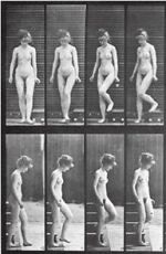 Watch Woman Walking Downstairs Watch123movies