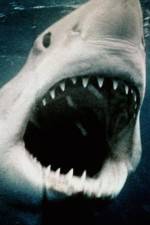 Watch Sharkmania: The Top 15 Biggest Baddest Bloodiest Bites Watch123movies