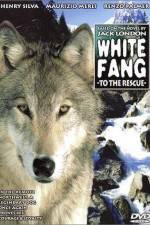 Watch Zanna bianca alla riscossa Watch123movies