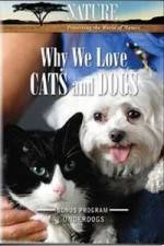 Watch Why We Love Cats And Dogs Watch123movies