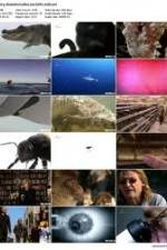 Watch History Channel Evolve: Sex Watch123movies