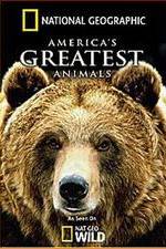 Watch America's Greatest Animals Watch123movies