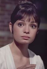 Watch Gidget Grows Up Watch123movies