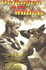Watch Call of the Wild Watch123movies