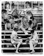 Watch Roar: The Most Dangerous Movie Ever Made Watch123movies