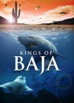 Watch Kings of Baja Watch123movies