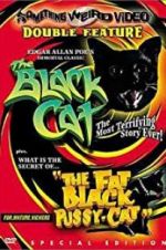 Watch The Black Cat Watch123movies