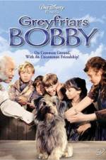 Watch Greyfriars Bobby The True Story of a Dog Watch123movies