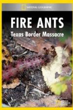Watch National Geographic Fire Ants: Texas Border Massacre Watch123movies