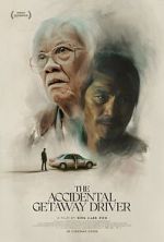 Watch The Accidental Getaway Driver Watch123movies
