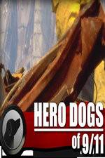 Watch Hero Dogs of 911 Documentary Special Watch123movies