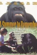 Watch A Summer to Remember Watch123movies