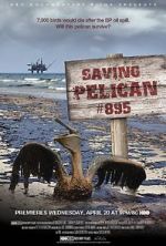 Watch Saving Pelican 895 (Short 2011) Watch123movies