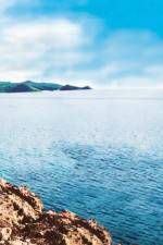 Watch Intent Watch123movies