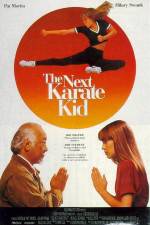 Watch The Next Karate Kid Watch123movies