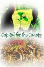 Watch Capital for the Canopy Watch123movies