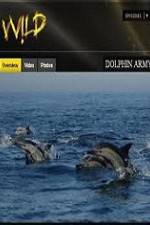 Watch National Geographic Wild Dolphin Army Watch123movies