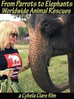 Watch From Parrots to Elephants: Worldwide Animal Rescues Watch123movies