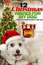 Watch 12 Christmas Wishes For My Dog Watch123movies