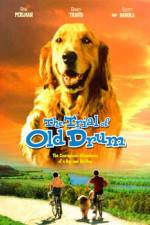 Watch The Trial of Old Drum Watch123movies