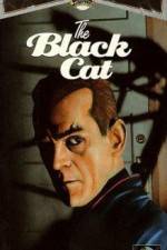 Watch The Black Cat Watch123movies