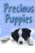 Watch Precious Puppies Watch123movies