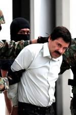 Watch The Rise and Fall of El Chapo Watch123movies