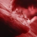 Watch We All Poop: All the Blood Watch123movies