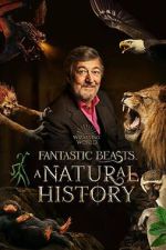 Watch Fantastic Beasts: A Natural History Watch123movies