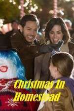Watch Christmas in Homestead Watch123movies