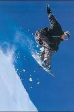 Watch The Art of Flight Watch123movies