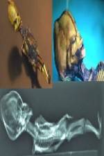 Watch Desert of the Skeletons Watch123movies