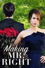 Watch Making Mr. Right Watch123movies