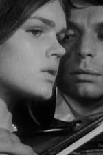 Watch Pavoncello Watch123movies