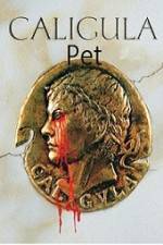 Watch Caligula's Pet Watch123movies