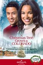 Watch A Christmas Tree Grows in Colorado Watch123movies