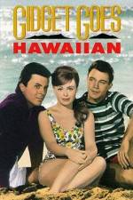 Watch Gidget Goes Hawaiian Watch123movies