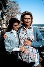 Watch Labor of Love The Arlette Schweitzer Story Watch123movies