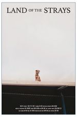Watch Land of the Strays (Short 2018) Watch123movies