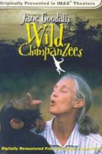 Watch Jane Goodall's Wild Chimpanzees Watch123movies
