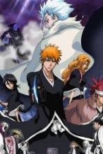 Watch Bleach: The Diamond Dust Rebellion Watch123movies